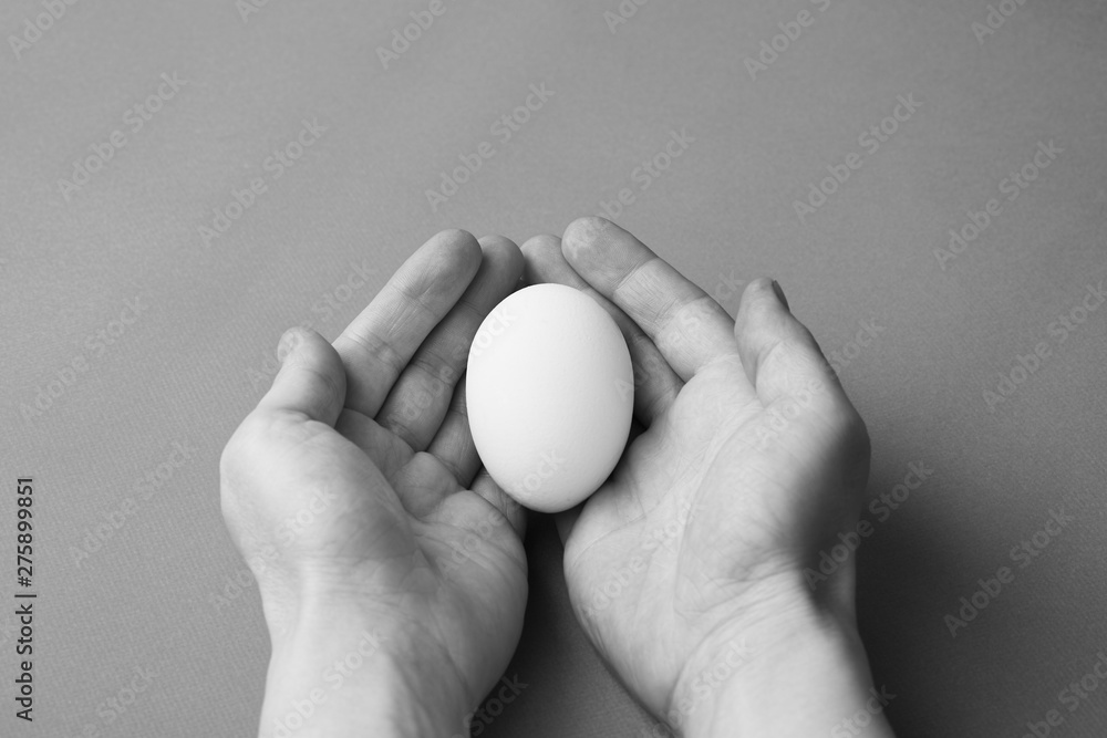 White chicken egg in women's hands. Black and white image, close-up. Concept of beginning or origin. White chicken egg in women's hands. Black and white image, close-up. Concept of beginning or origin.