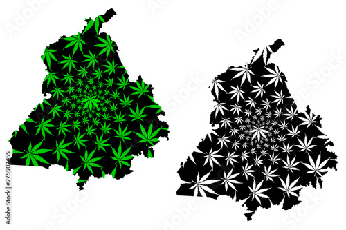 Punjab (States and union territories of India, Federated states, Republic of India) map is designed cannabis leaf green and black, Punjab state map made of marijuana (marihuana,THC) foliage.... photo