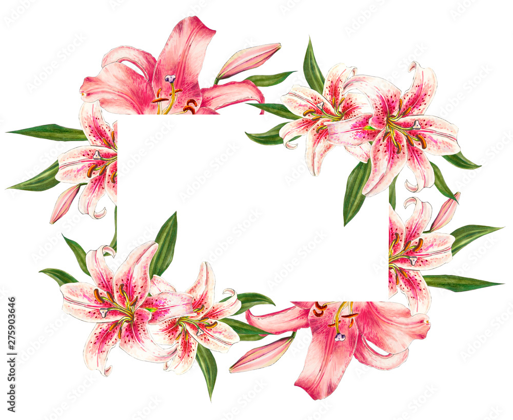 Beautiful pink lily frame. Bouquet of flowers. Floral print. Marker drawing. Watercolor painting. Wedding and birthday festive composition. Greeting card. Painted background. Hand drawn illustration. Beautiful pink lily frame. Bouquet of flowers. Floral print. Marker drawing. Watercolor painting. Wedding and birthday festive composition. Greeting card. Painted background. Hand drawn illustration.