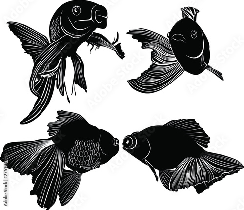 set black silhouette goldfish isolated on white background