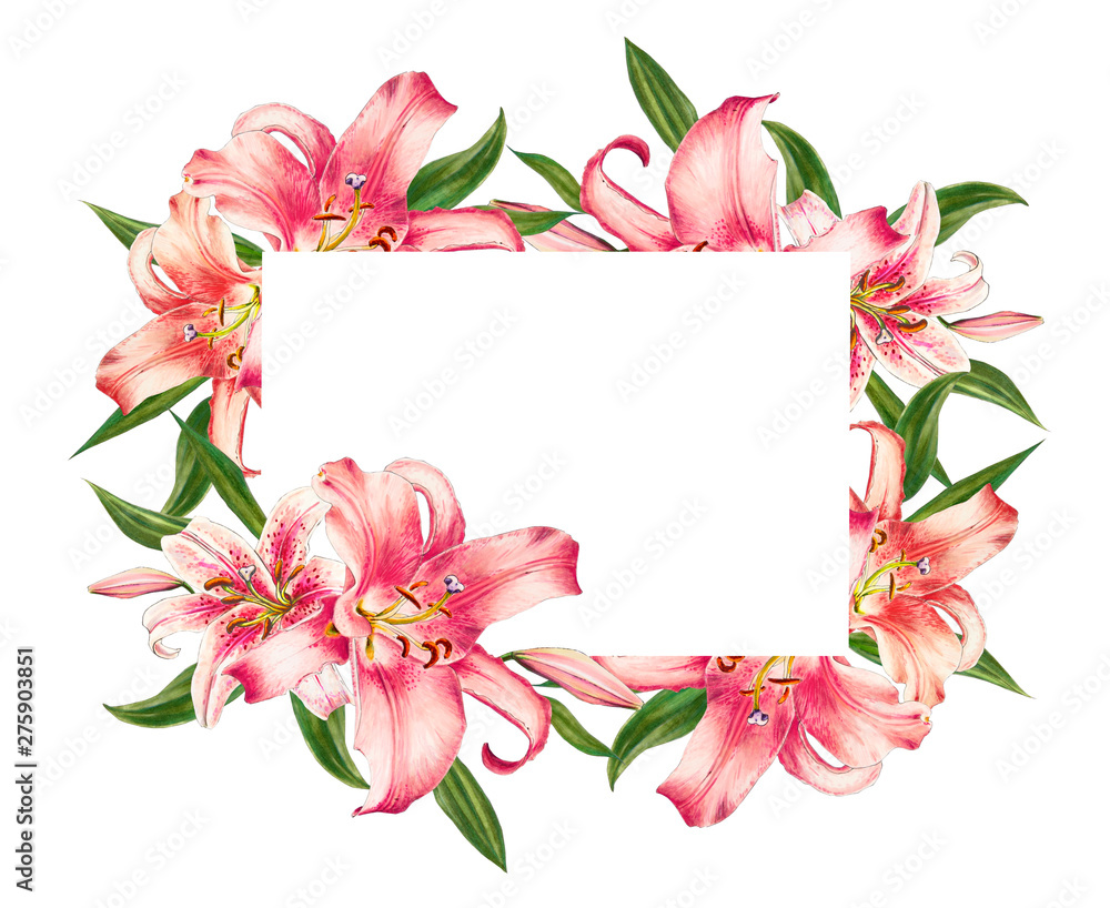 Fototapeta premium Beautiful pink lily frame. Bouquet of flowers. Floral print. Marker drawing. Watercolor painting. Wedding and birthday festive composition. Greeting card. Painted background. Hand drawn illustration.