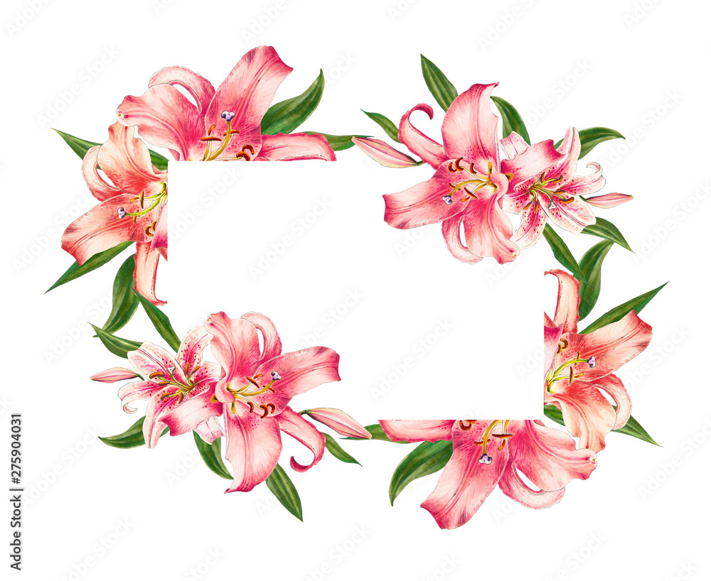 Fototapeta premium Beautiful pink lily frame. Bouquet of flowers. Floral print. Marker drawing. Watercolor painting. Wedding and birthday festive composition. Greeting card. Painted background. Hand drawn illustration.