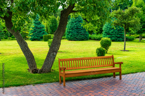 Empty wooden bench in a beatiful sunny park.