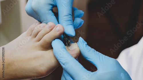 Pedicurist master is making pedicure for client woman in beauty salon. She is cutting cuticle with professional nail tongs on big toe, hands in gloves closeup.