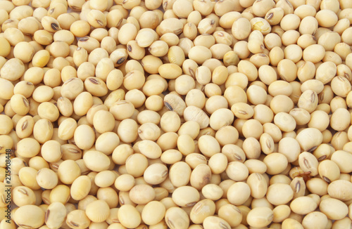 Soy beans background