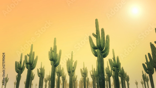 Cactus Daytime 3d Render