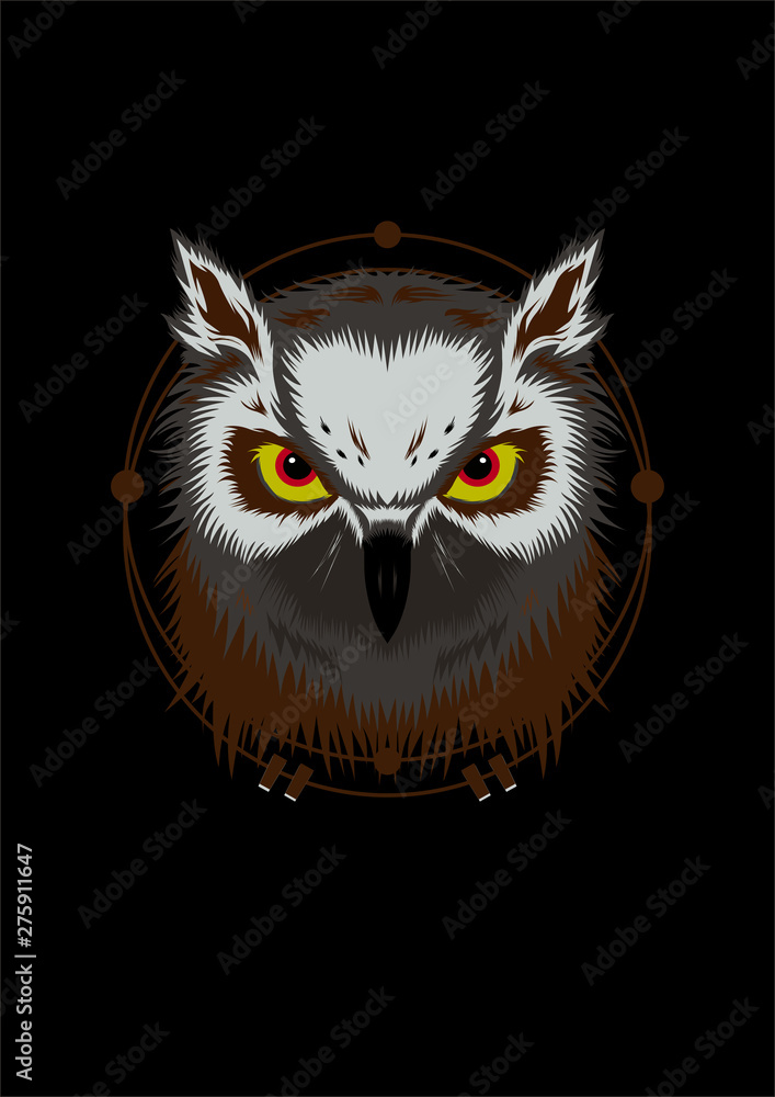 Obraz premium Owl Illustration