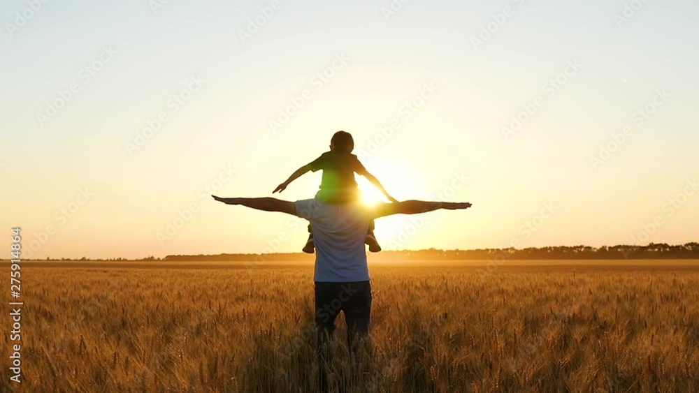 Father and son play in a wheat field at sunset, portraying a bird or a plane. Happy family.