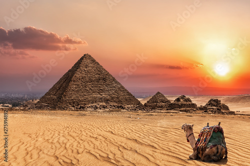 The Pyramid of Menkaure at sunset and a camel nearby, Giza, Egypt