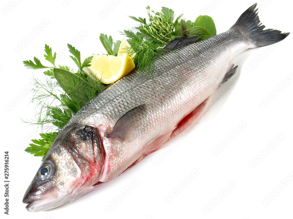 Frischer Fisch mit Kräuter - Wolfsbarsch Isoliert Frischer Fisch mit Kräuter - Wolfsbarsch Isoliert