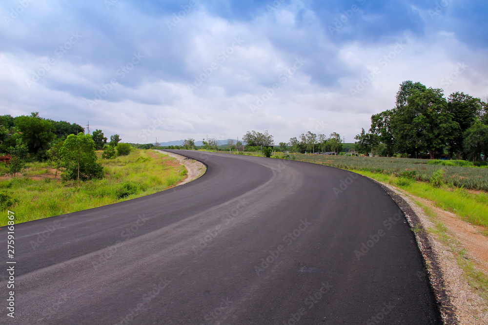 Long blank asphalt road  with colorful green tree , grass on the side on blue sky background and white cloudy