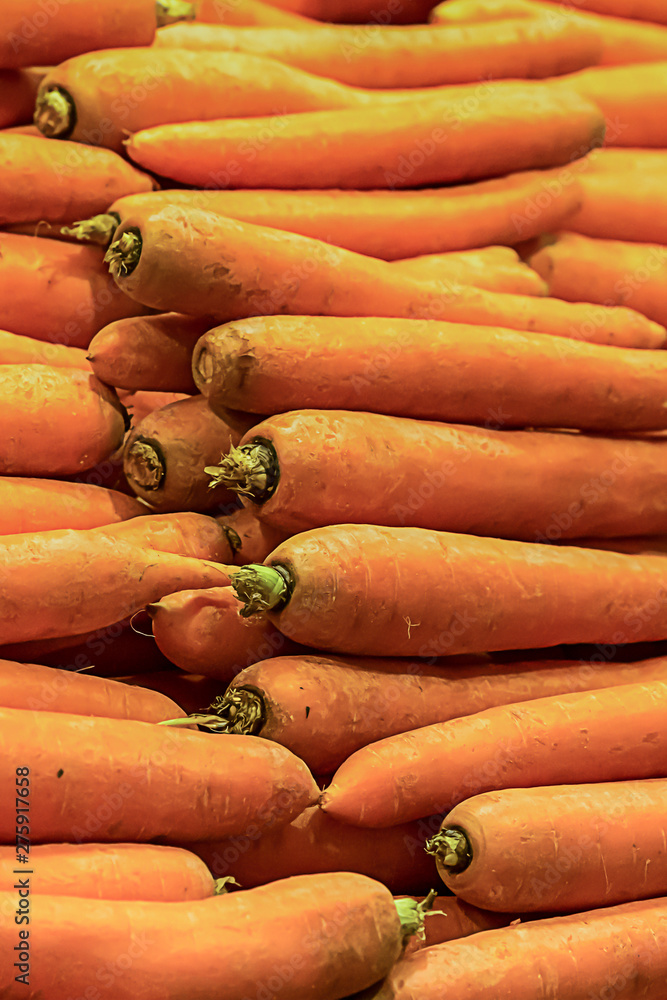 autumn background ripe whole orange carrot row of long fruit stacked neat symmetrical set vegetable pattern bright design base useful vitamin products for diet autumn background ripe whole orange carrot row of long fruit stacked neat symmetrical set vegetable pattern bright design base useful vitamin products for diet