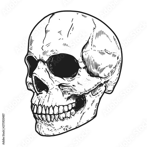 Hand drawn human skull on light background. Design element for logo, label, sign, pin,poster, t shirt. Vector illustration