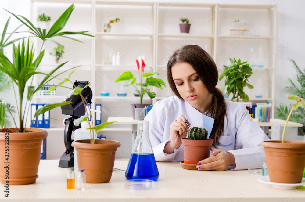 Young beautiful biotechnology chemist working in the lab Young beautiful biotechnology chemist working in the lab