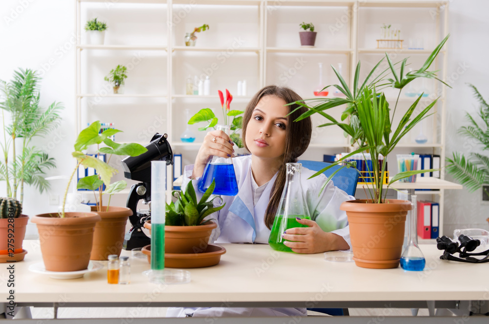 Young beautiful biotechnology chemist working in the lab Young beautiful biotechnology chemist working in the lab