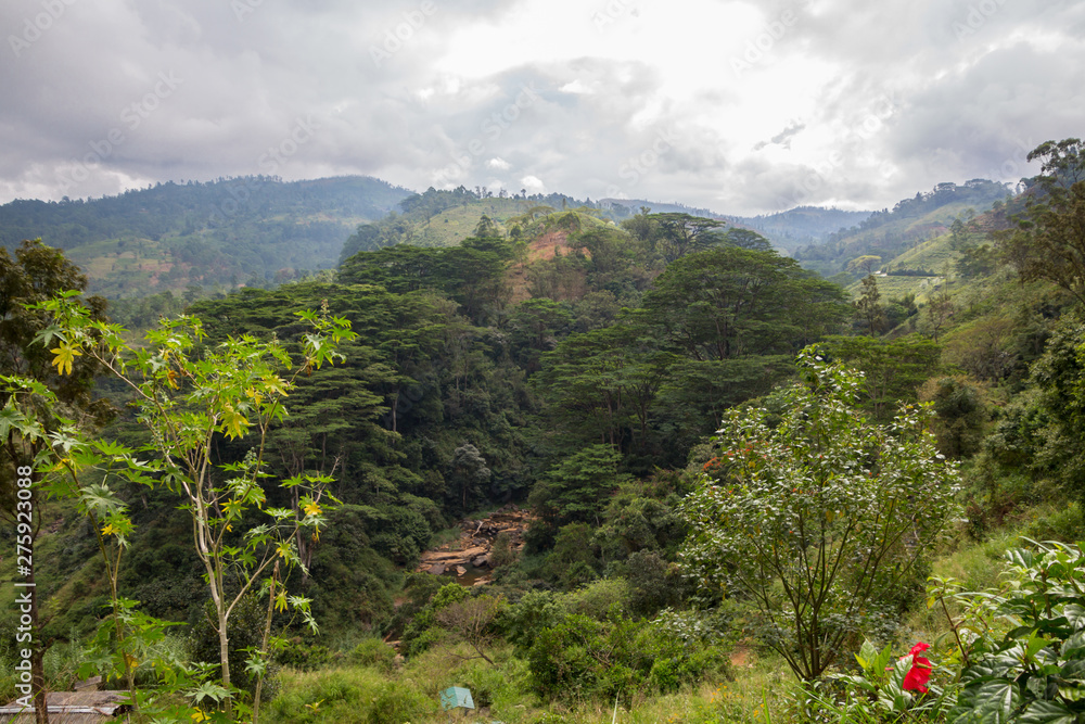 Sri Lanka mountains