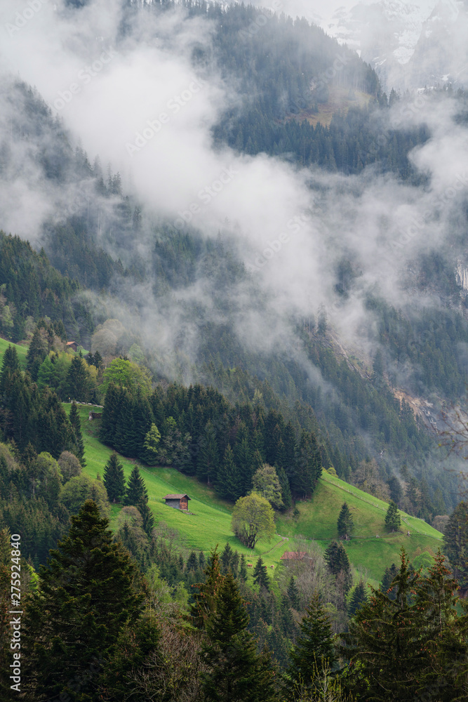 Forest landscape with misty environment on the mountain with a house in summer in Lauterbrunnen, Switzerland