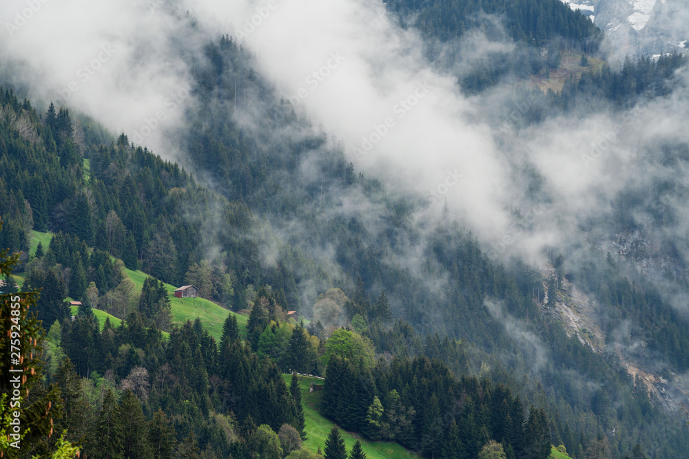 Forest landscape with misty environment on the mountain with a house in summer in Lauterbrunnen, Switzerland