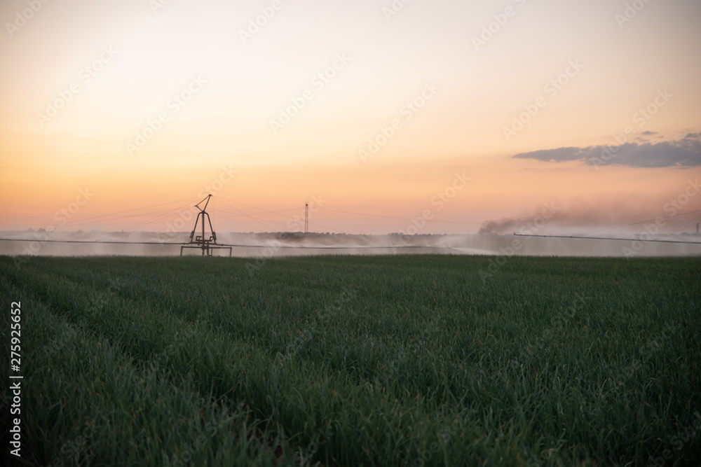 Obraz premium Boom Irrigation of Field During Summer Sunset Dusk. Moody Feel.