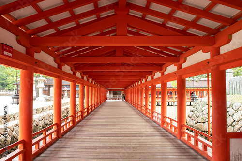 The Path