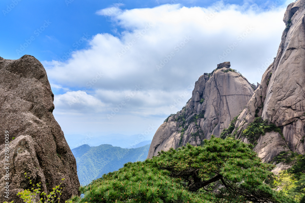 Obraz premium Landscape of Huangshan (Yellow Mountains).UNESCO World Heritage Site.Located in Huangshan,Anhui,China.