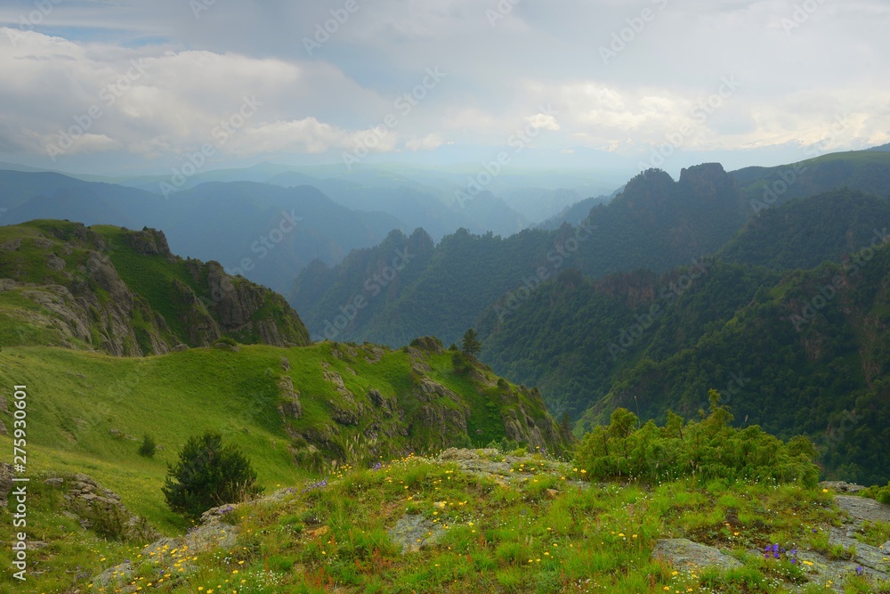 Fototapeta premium By the canyon