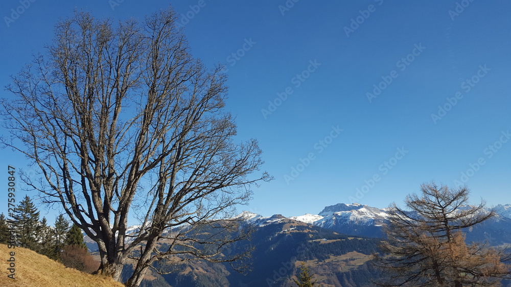 Schweizerland Alps. Schweizerland Alps.