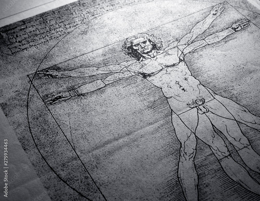 174 Leonardo Da Vinci Anatomy Stock Photos - Free & Royalty-Free Stock  Photos from Dreamstime