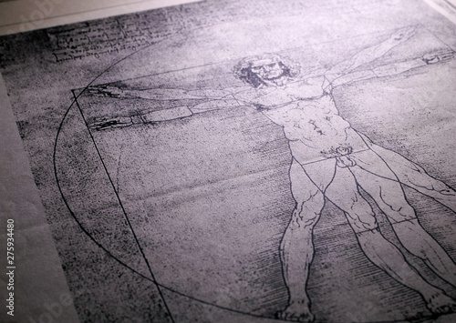 Anatomy Art Drawing