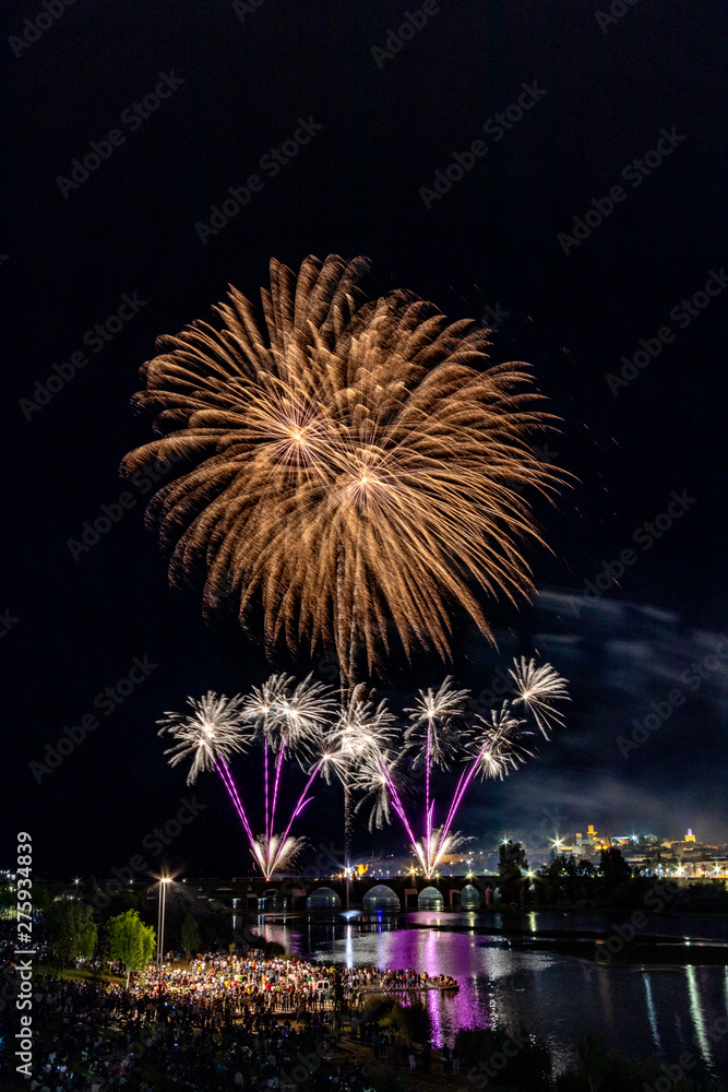 Imagen vertical de mucha gente observando los fuegos artificiales sobre el puente en el río con la ciudad vieja al lado Imagen vertical de mucha gente observando los fuegos artificiales sobre el puente en el río con la ciudad vieja al lado