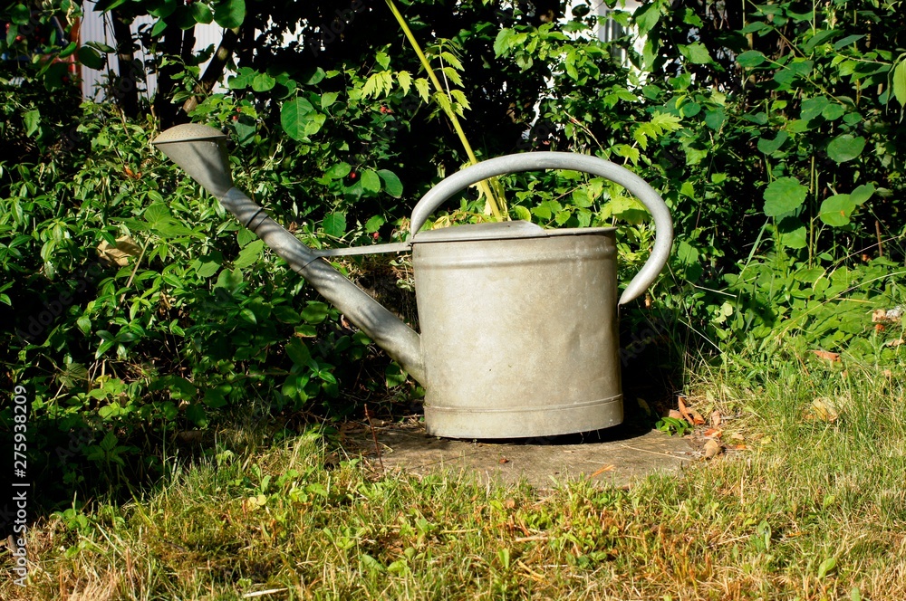 garden, gardening, watering, can, green, plant, watering can, water, metal, nature, pot, spring, container, old, object, flowers, flower, summer garden, gardening, watering, can, green, plant, watering can, water, metal, nature, pot, spring, container, old, object, flowers, flower, summer