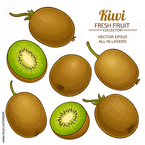 kiwi vector set