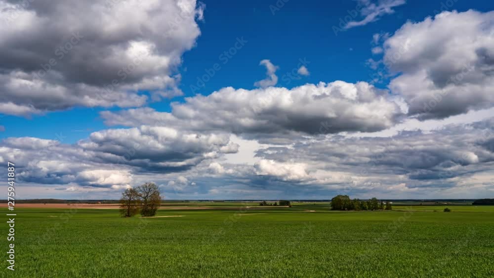TIMELAPSE of a beautiful green field that extends to the horizon and with white clouds passing by TIMELAPSE of a beautiful green field that extends to the horizon and with white clouds passing by