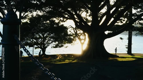 Magical Scene of Sunset Sunlight Over Public Park by Sea With Runner and Walker on Evening Fitness Cardio Exercise photo