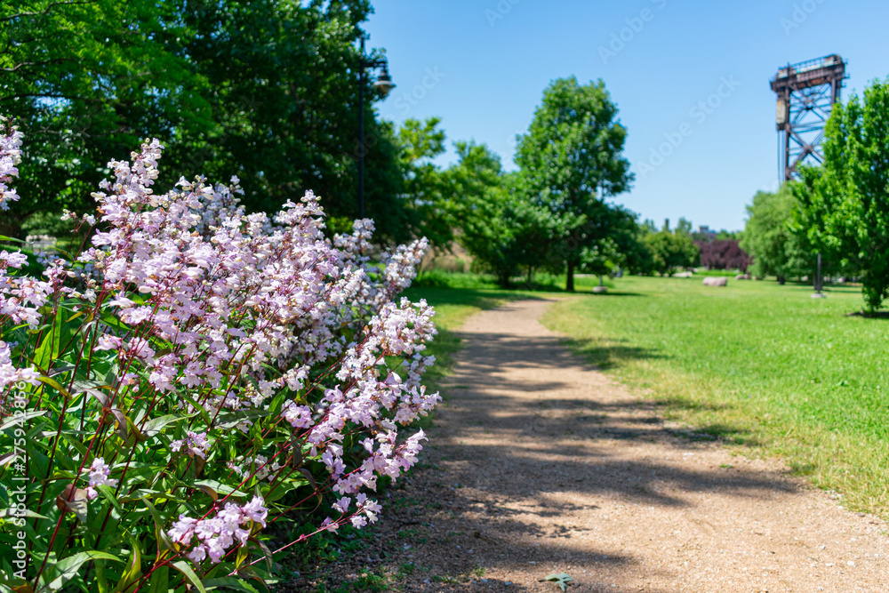 Flowers on a Path at Ping Tom Memorial Park in Chinatown Chicago