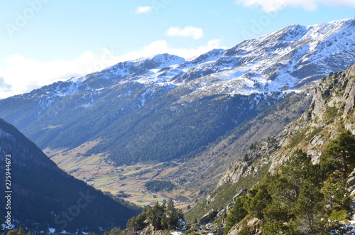 montaña de los alpes nevados en sus picos y bosques de pino a media altura