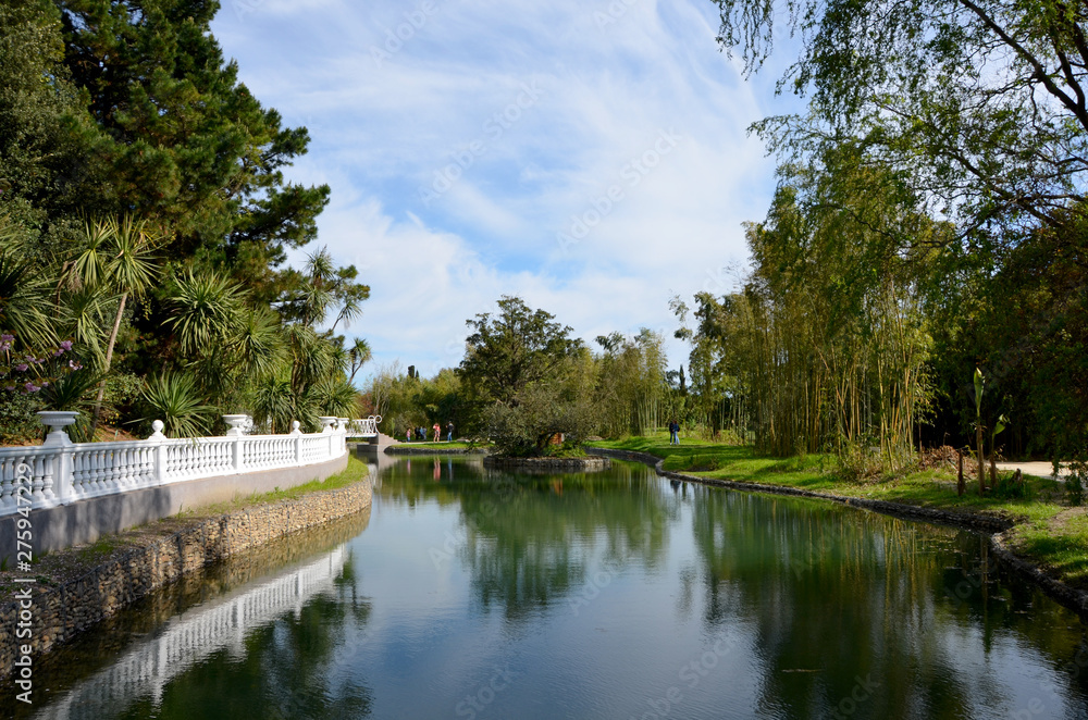 lake in park beautiful landscape  cityscape 