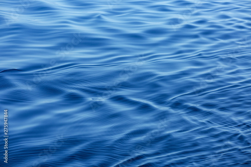 close up of a calm wave in the ocean in a soft backlight