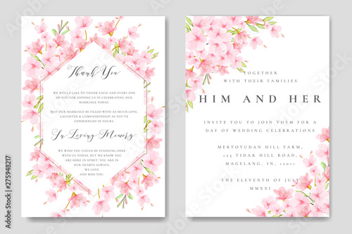 beautiful wedding Floral Cherry Blossom Frame and background