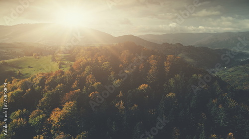 Dense Forest Mountainous Land Scenery Aerial View. Overcast Horizon Cloud Sky Wildlife Rocky Landscape Panoramic Overview. Epic Mount Nature Scene Thick Wild Forest Drone Flight