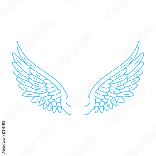 Angel wings illustration. Vector. Isolated.