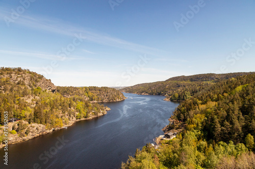 Scenic view of river amidst trees against sky