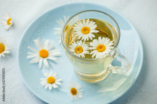 Herbal tea with fresh chamomile flowers in glass teacup on blue plate, seasonal colds flu alternative treatment, antidepressant and a remedy stomach cramps
