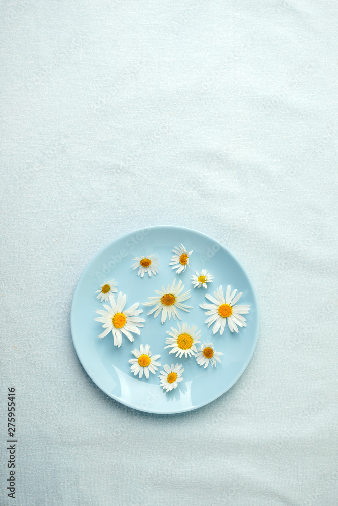 camomile blossoms, dried camomile flowers. doctor treatment and prevention of immune concept, medicine - folk, alternative, complementary, traditional medicine camomile blossoms, dried camomile flowers. doctor treatment and prevention of immune concept, medicine - folk, alternative, complementary, traditional medicine