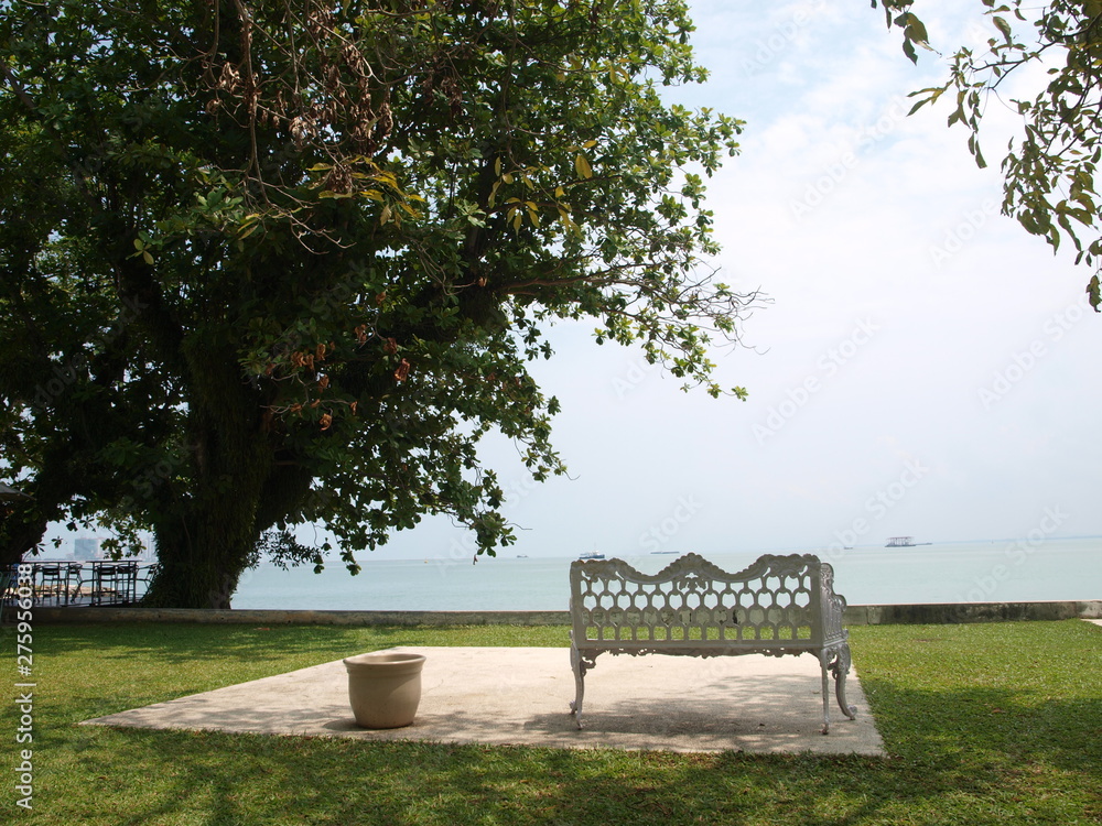 Park landscape with sea view. Beautiful white bench and an urn under a tree, a green lawn with well-groomed grass. A place to relax in the shade of trees on a sultry day.