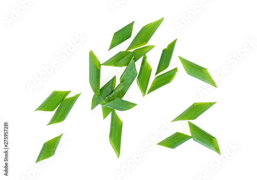 Chopped green onions on white background  top view.