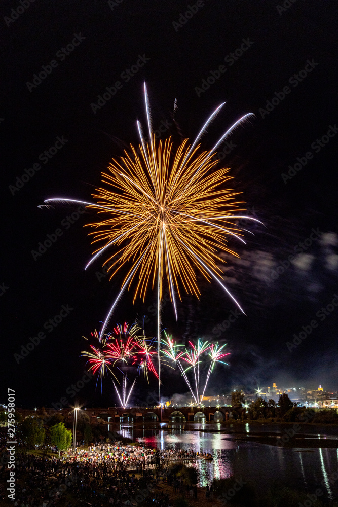 Imagen vertical de mucha gente observando los fuegos artificiales sobre el puente en el río con la ciudad vieja al lado Imagen vertical de mucha gente observando los fuegos artificiales sobre el puente en el río con la ciudad vieja al lado