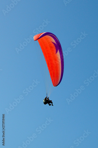 Wallpaper Mural paraglider flight through the blue sky Torontodigital.ca