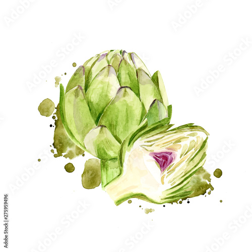 Watercolor artichoke flower. Fresh organic vegetable aquarelle. Isolated eco food illustration on white background.