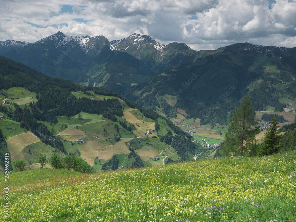 Fototapeta premium Tal der Almen